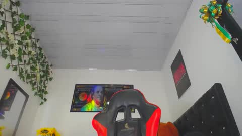 Snapshot of thegemini_prince chatting on 12/02/24, 02:52 Prince online show from 12/02/24, 02:52