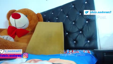 Snapshot of thegemini_prince chatting on 02/26/25, 04:03 Prince online show from 02/26/25, 04:03