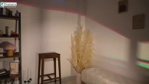   Streaming mostly at    online show from 02/04/25, 09:52