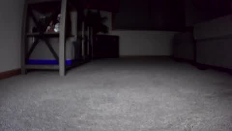 thegreat6268469 online show from 12/24/24, 10:44