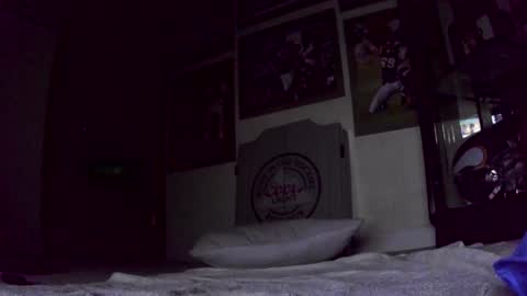 thegreat6268469 online show from 01/31/25, 12:40