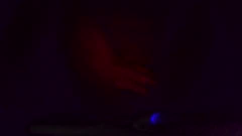 thegreat6268469 online show from 03/08/25, 05:28