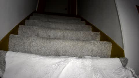 thegreat6268469 online show from 03/09/25, 12:10