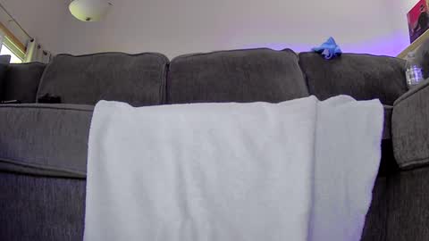 thegreat6268469 online show from 09/12/25, 11:37