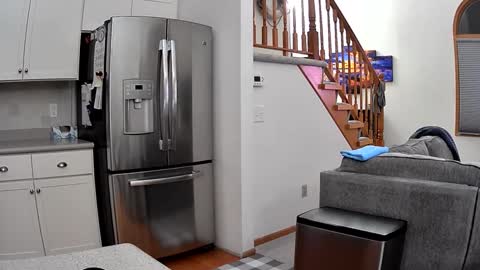 thegreat6268469 online show from 09/26/25, 02:04