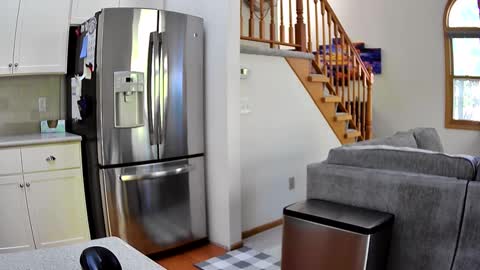 thegreat6268469 online show from 10/03/25, 08:39