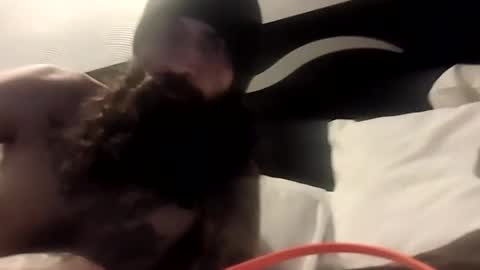 Snapshot of theh4iryfi5h chatting on 02/21/26, 12:28 theh4iryfi5h online show from 02/21/26, 12:28