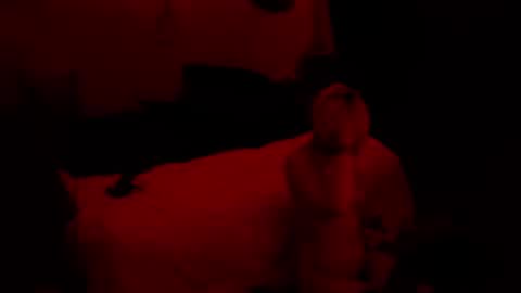 thehungmantis online show from 10/15/25, 02:22