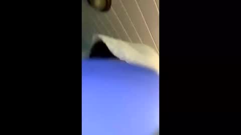 theonlyboi43ver online show from 11/04/25, 03:33