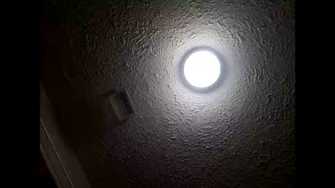 Amelia online show from 01/17/26, 02:44