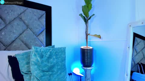 Snapshot of thiagoferrari1 chatting on 12/10/24, 02:38 thiago online show from 12/10/24, 02:38