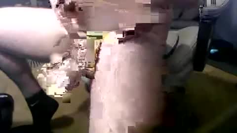 thickkkcockkkguy online show from 05/03/26, 03:40