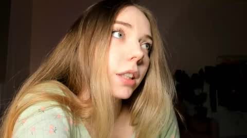 Snapshot of thisisamelia chatting on 02/28/25, 07:35 Amelia shows on mondays fridays and sundays if anything changes im giving updates on my fansly online show from 02/28/25, 07:35