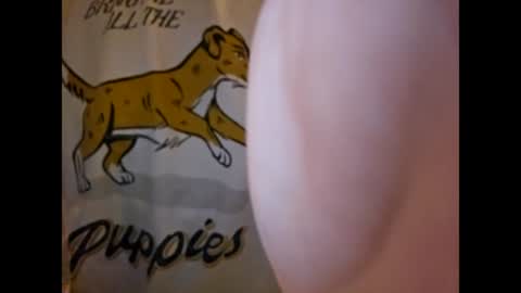 ThisIsFuckingFun online show from 03/04/25, 07:19