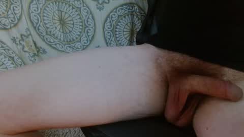 thiswillbefun783025 online show from 02/04/26, 12:05