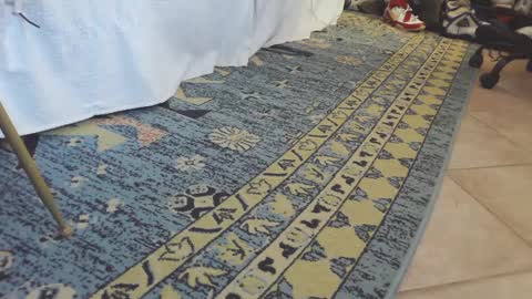 ThongMuscle online show from 02/27/25, 01:49