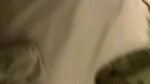 throbbinrobin335 online show from 08/02/26, 04:44
