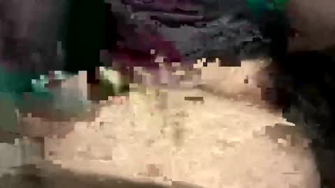 thunderbird2696 online show from 04/12/26, 04:23