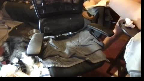 Snapshot of thundersword chatting on 03/08/25, 07:09 thundersword online show from 03/08/25, 07:09