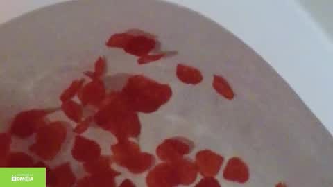 tia_j online show from 10/12/25, 11:20