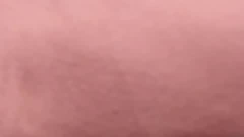 tibustream online show from 04/16/26, 09:50