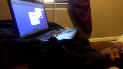 Snapshot of tierrahenri chatting on 02/02/25, 03:49 Tierra Henri online show from 02/02/25, 03:49