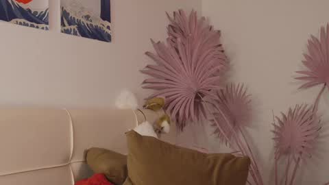 Snapshot of tiffanyjons chatting on 02/28/25, 12:21 tiffanyjons online show from 02/28/25, 12:21