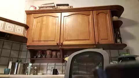 Snapshot of tigermatt76e chatting on 03/01/26, 06:32 tigermatt76e online show from 03/01/26, 06:32