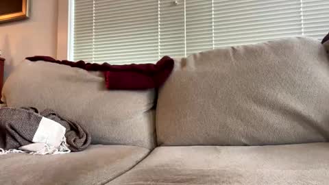 time4fun8837 online show from 02/15/26, 07:32