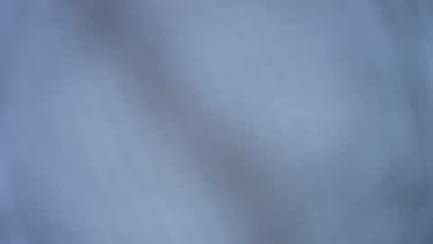 Tim Grower online show from 05/07/26, 07:08