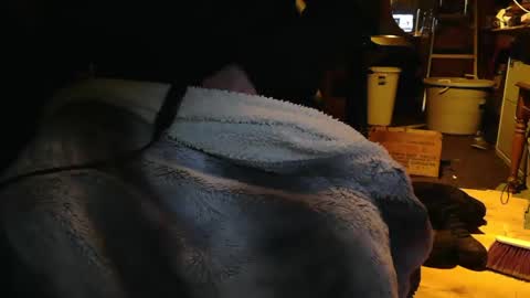 tinkertrain420 online show from 12/02/24, 09:56
