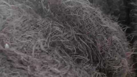 tinyslut66 online show from 03/30/26, 09:43