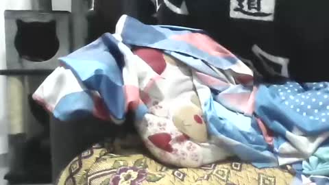 Ester online show from 04/22/26, 09:01