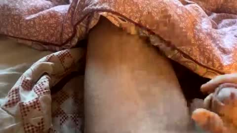 tliverth online show from 11/28/25, 07:11