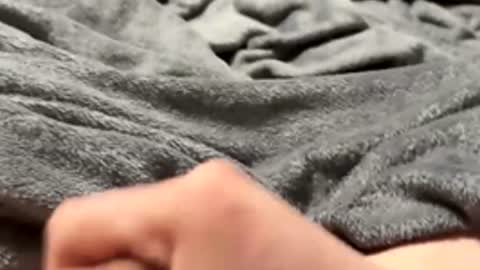 tmue online show from 02/15/26, 02:58