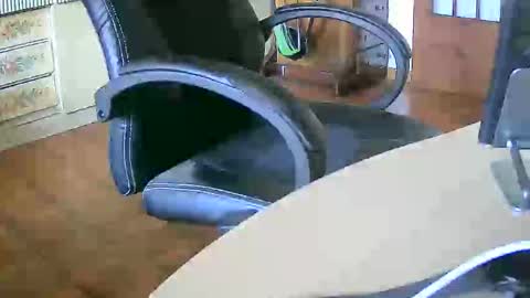 Tobiko online show from 09/30/25, 11:48