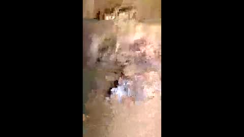 todd25697 online show from 05/10/26, 12:49