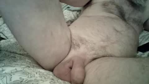 toddbells online show from 02/13/26, 03:19