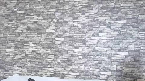 Tokyo online show from 02/02/26, 06:06