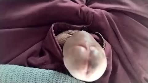 Snapshot of tomas_cum69 chatting on 01/11/25, 08:32 Tomas online show from 01/11/25, 08:32