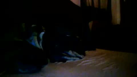 tommy mackz online show from 03/02/26, 05:08