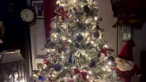 tommybones4l93 online show from 12/18/25, 02:06