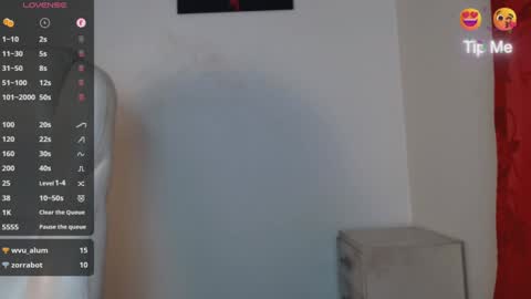 TONI BELMONT online show from 01/28/25, 09:50