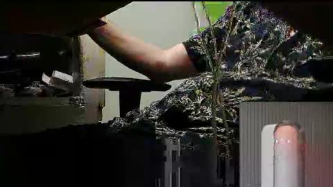 tontin69 online show from 03/31/26, 12:12