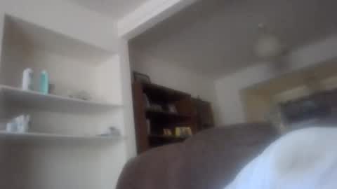 topfoxs30 online show from 11/12/25, 01:33