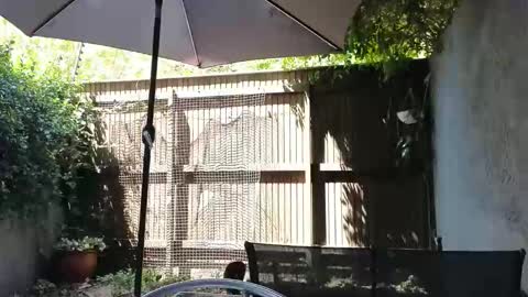 Snapshot of topsywilde chatting on 02/14/26, 10:12 Topsy online show from 02/14/26, 10:12