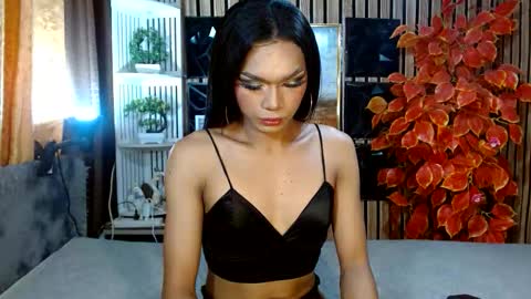 Snapshot of toptrans_venice chatting on 02/20/26, 06:26 toptrans venice online show from 02/20/26, 06:26