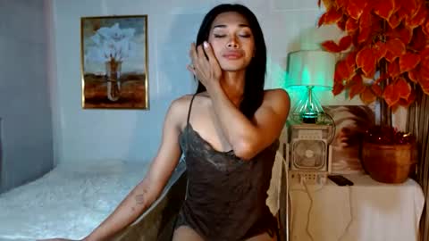 toptrans venice online show from 04/17/26, 12:57