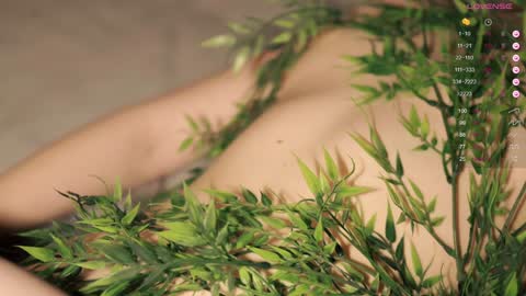 Toshi online show from 12/02/24, 01:02