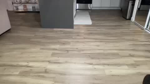 ASH online show from 02/08/25, 04:36